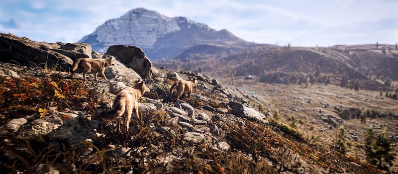 Кооперативный симулятор охотника Hunting Simulator 3 выйдет осенью на ПК и консолях