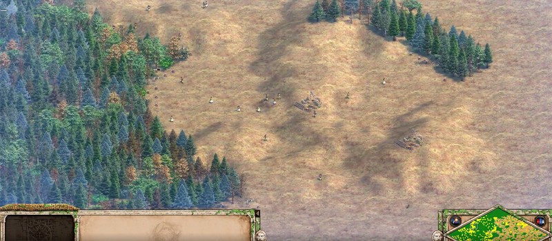 Игрок в Age of Empires 2 нарубил 10 миллионов дерева на карте Чёрный Лес и сломал счётчик ресурсов