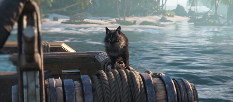 В ремастере Assassin's Creed Black Flag можно будет гладить коров, обезьян и черепах