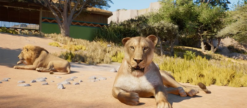 Новый трейлер Planet Zoo 2 показал эмоции животных и беременность львицы
