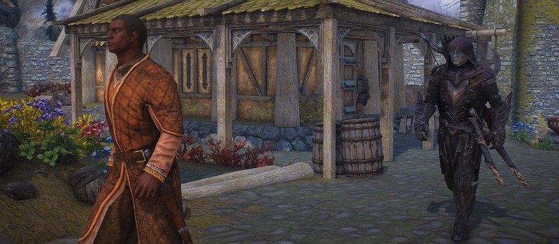 Игрок нашёл в модифицированном Skyrim булаву, которая лечит цель при ударе – ему тут же предложили испробовать её на Назиме