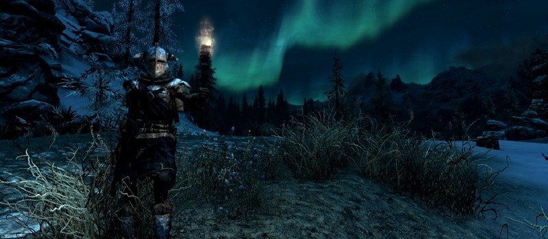 Фанаты Skyrim до сих пор не могут решить – улучшает ли режим выживания геймплей игры или полностью его ломает