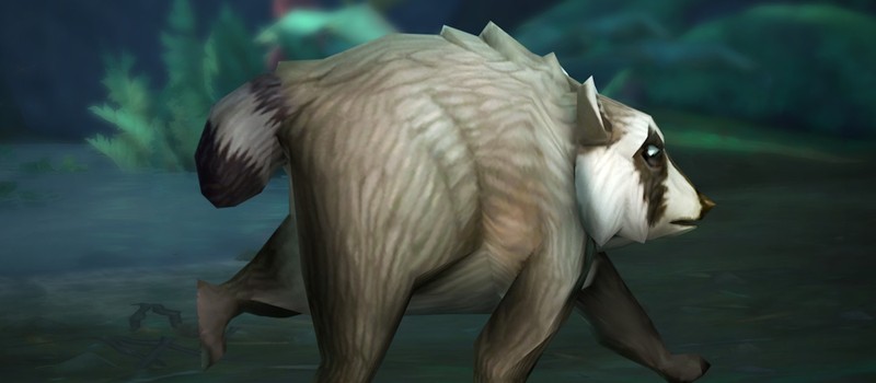 Енот Джимоти из Сиэтла появится в World of Warcraft
