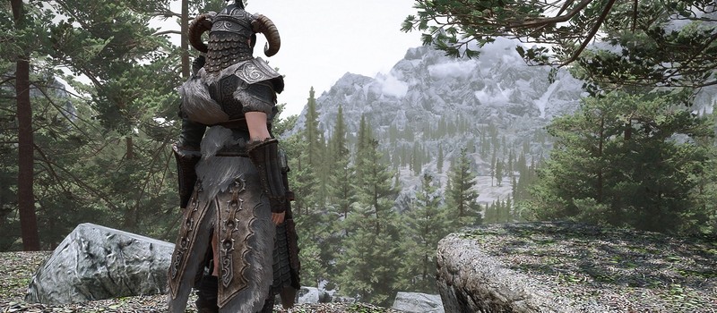 Этот мод для Skyrim добавил реалистичную физику тел и звуки для всех NPC в зависимости от типа надетой брони
