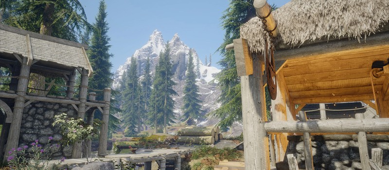 Игроки и моддеры Skyrim собирают деньги на юристов после жалобы от разработчика ENBSeries