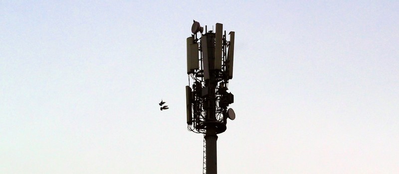 Минцифры разрешило операторам запустить 5G – полный переход займёт до пяти лет
