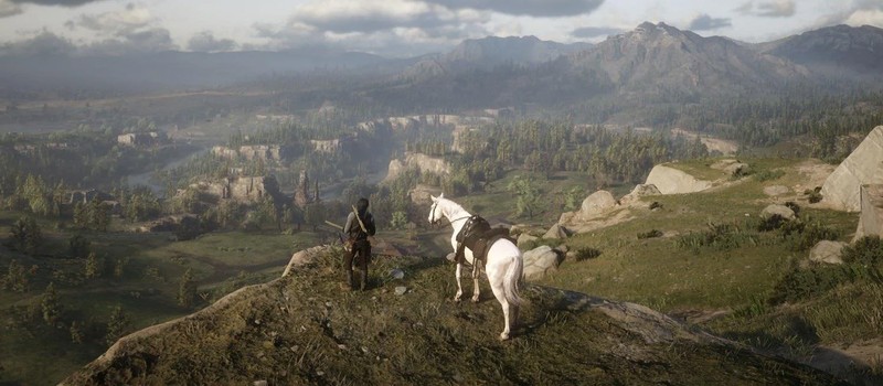 Игроки все еще не понимают, почему у GTA 5 три поколения консолей, а у Red Dead Redemption 2 ни одного обновления