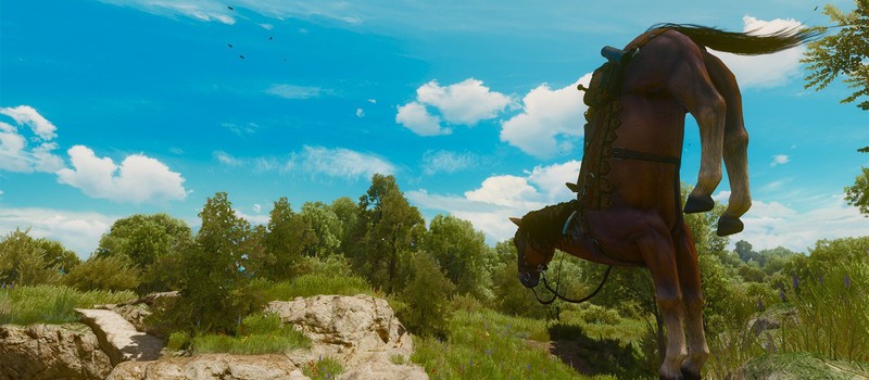CD Projekt RED починила Плотву в ремастере The Witcher 3, но позволит игрокам вернуть её баги