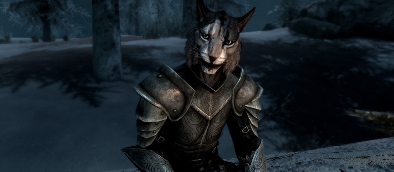 Моддер показал, как в Skyrim могла бы работать технология NVIDIA Reflex 2