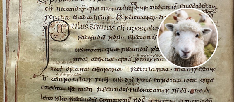 Учёные нашли ДНК оспы овец в 1000-летнем Евангелии