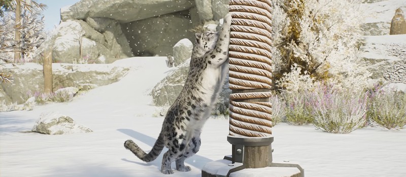 Снежный барс появится в Planet Zoo 2, а до релиза осталась неделя
