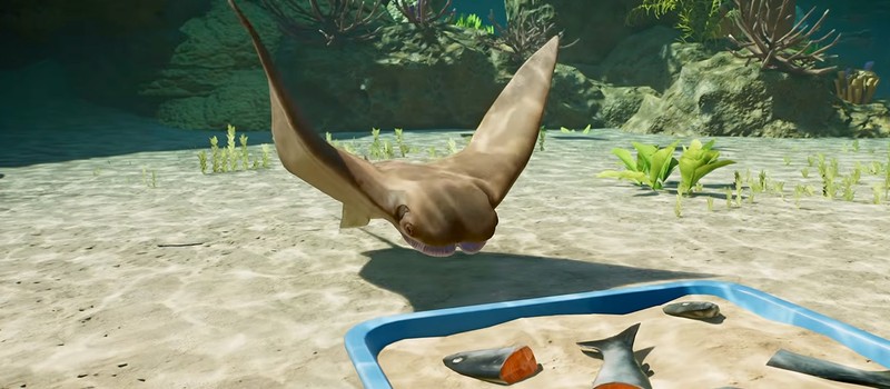 Для Planet Zoo 2 показали морского ската – яванского коровоноса