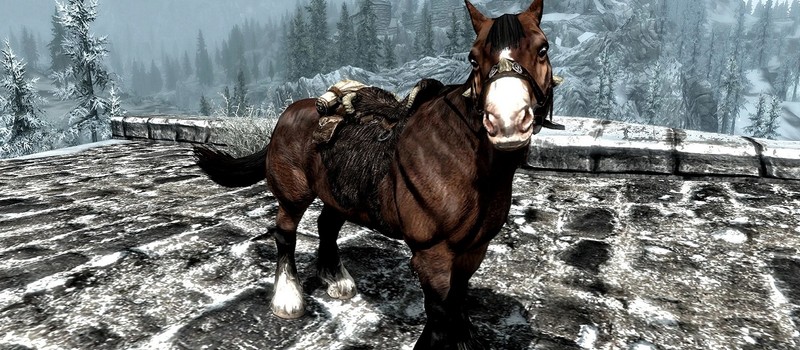 Лошадь из Skyrim озадачила геймера умением передвигаться лунной походкой