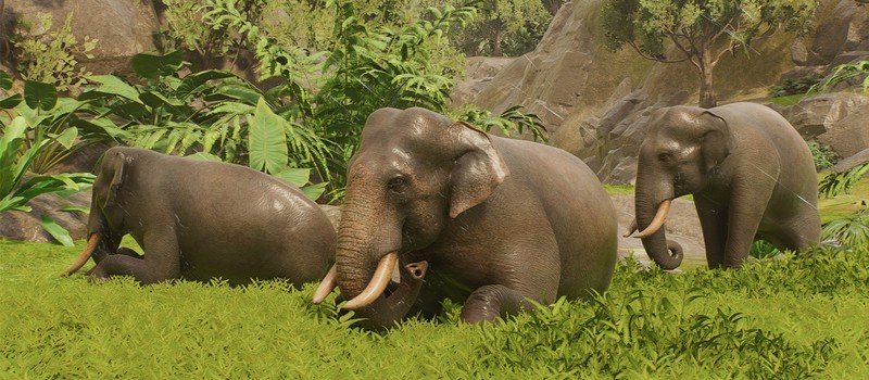 Planet Zoo 2 побила рекорд оригинала в Steam в первый же день – более 40 000 игроков онлайн