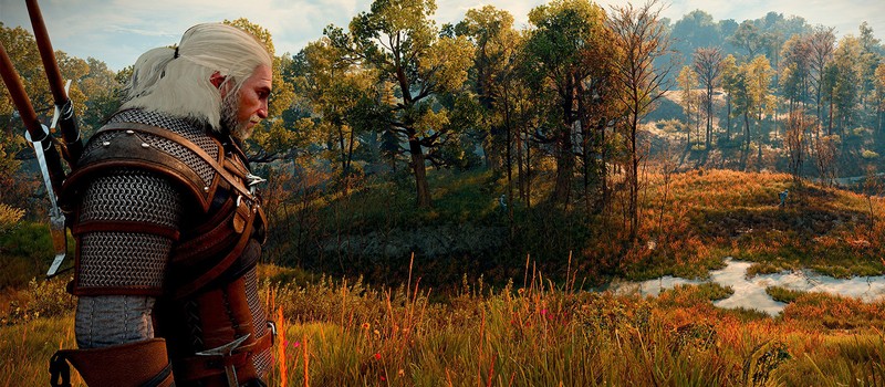 Мод с 5 пресетами для The Witcher 3 Remastered сделал Геральта и Плотву заметно отзывчивее