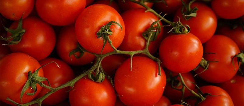 17-летняя исследовательница из Майами выращивает томаты со вкусом гамбургера