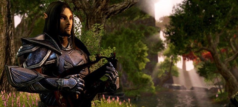 Kastomizaciya Personazhej V The Elder Scrolls Online Shazoo