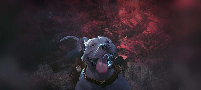 Новые скриншоты Ashen Rift