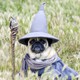 что делать если в dark souls 1 маленький экран. Смотреть фото что делать если в dark souls 1 маленький экран. Смотреть картинку что делать если в dark souls 1 маленький экран. Картинка про что делать если в dark souls 1 маленький экран. Фото что делать если в dark souls 1 маленький экран