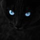 улучшения школы кота 1 сапоги баг. Смотреть фото улучшения школы кота 1 сапоги баг. Смотреть картинку улучшения школы кота 1 сапоги баг. Картинка про улучшения школы кота 1 сапоги баг. Фото улучшения школы кота 1 сапоги баг