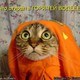 до какого года будут выходить игры на пс4. Смотреть фото до какого года будут выходить игры на пс4. Смотреть картинку до какого года будут выходить игры на пс4. Картинка про до какого года будут выходить игры на пс4. Фото до какого года будут выходить игры на пс4