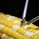 Новый робот для микроскопической хирургии от Sony зашил кукурузное зерно