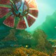 Ранний доступ Subnautica 2 продлится 2-3 года — игра выйдет с "несколькими биомами" и "частью сюжетной линией"