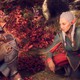 BioWare покидает руководитель Dragon Age: The Veilguard — транс-разработчик Коррин Буше