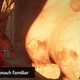 Геймеры придумали, как обойти запрет постить на сабреддите Oblivion скриншоты сексуальных огненных атронахов