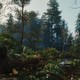 CD Projekt RED меняет подход: The Witcher 4 разрабатывается с приоритетом на консоли из-за провала Cyberpunk 2077