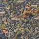 Игрок Civilization 7 превратил всю карту в планетарный город, застроив каждую свободную клетку земли