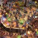 Для стратегии Stormgate от создателей Warcraft 3 и StarCraft 2 вышла первая сюжетная кампания