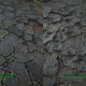 Моддер выпустил масштабный HD-пак ландшафтных текстур для Fallout 4 размером всего 3,4 ГБ