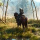 Сегодня ночью могут анонсировать новое DLC для The Witcher 3