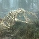 Необычная забава игроков Skyrim – запуск мертвых драконов в небо ради последнего полёта