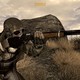 Тодд Говард назвал Obsidian единственным выбором для Fallout: New Vegas