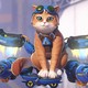 Все способности и перки Реактивного Кота в Overwatch