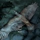 Один драконорожденный в Skyrim случайно довёл ястребов до вымирания и теперь не может их вернуть