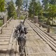 Новый мод добавляет реалистичную инерцию движения в Skyrim и Fallout 4