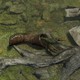 Статья в PC Gamer вдохновила разработчиков Kingdom Come: Deliverance 2 добавить систему кражи обуви