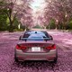 В Forza Horizon 6 уже нашли легкий способ фармить деньги и опыт с помощью автопилота