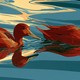 Посещаемость поисковика DuckDuckGo выросла на 28% после заявления главы Google о том, что "все обожают ИИ-поиск"
