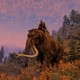 Игроки Skyrim обнаружили, что головы мамонтов на стенах – это целые туши, спрятанные за текстурой