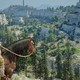 Продажи Steam превысили 11 миллиардов долларов за первую половину 2026 года благодаря китайским игрокам
