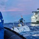 Гейб Ньюэлл потратил больше миллиарда долларов на суда, потому что человечество не видело 99,999% дна океана