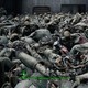 Экспериментатор в Fallout 4 на всю ночь оставил паладина Данса наедине с бесконечными синтами – и получил гору трупов и десятки тысяч боеприпасов