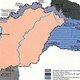 Поклонник Hearts of Iron 4 настолько погрузился в стратегию, что начал видеть в своём коте Венгрию после Первого Венского арбитража