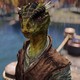 Игрок в Skyrim понял, что он идиот, когда зачаровал шлем на водное дыхание при игре за аргонианина