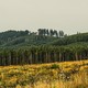 Google вырубила 300 гектаров финского леса под дата-центр до окончания экологической проверки