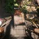 Все изменения патча 2.5 для Cyberpunk 2077 – стрельба с двух рук, 12 новых карт Таро и DLSS 4.5